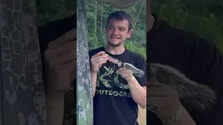 Thumbnail: He wasn't expecting a squirrel... 😆 #Jesus #GrayGang