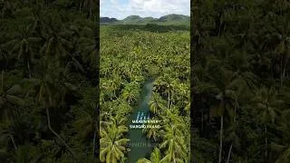 Thumbnail: Maasin River Boating #paradisephilippines #siargaoisland #breathtakingviews #djidrone #vacation