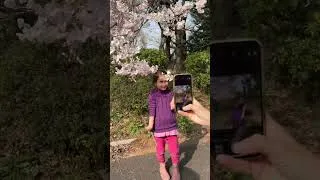 Thumbnail: Sakura Blooming, Shinjuku Gyoen National Garden Japan, April 2 2024 #sakura2024