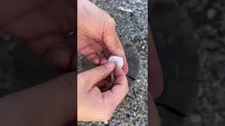 Thumbnail: 2 Survival Skills & Tips🔥#survival #bushcraft #camping #outdoors #lifehacks