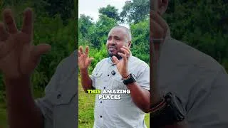 Thumbnail: Did I Drive Through Paradise? Kenya’s Little-Known Nakuru–Eldoret Road
