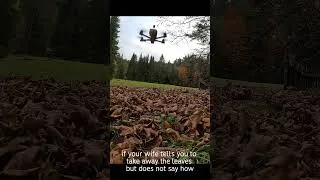 Thumbnail: leaf blowing, is this the right way?