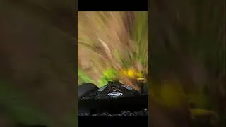 Thumbnail: Wait for it 😎- RC FPV CAR DJI FPV System