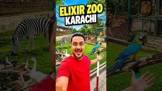 Thumbnail: Inside Elixir Zoo Karachi 2026 #shorts #elixirzookarachi #karachizoo