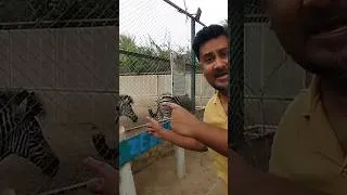 Thumbnail: Inside a Private Zoo 🦁 #Shorts #Karachi #PrivateZoo