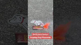 Thumbnail: WORLDS MOST CRAPPY FIREWORKS #fireworks #july4th #4thofjuly #texas #meme #dog