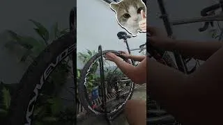 Thumbnail: Just do it! #bicycle #bikeride #cycling #gravelbike