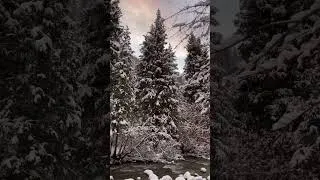 Thumbnail: Winter