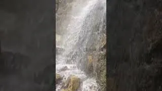 Thumbnail: Nature 😍