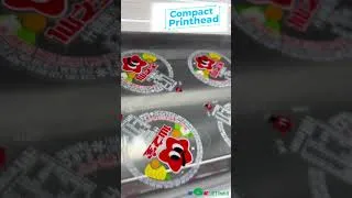 Thumbnail: One Printhead, Multiple Lanes: Smart Coding with KGK Jet CIJ