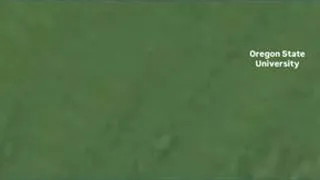 Thumbnail: Algae bloom cancels riverside event in Portland