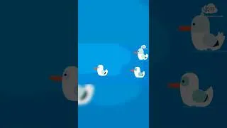 Thumbnail: Spring Birds! Twitters, Chatters & Seagulls! 🐦 #BirdWatching
