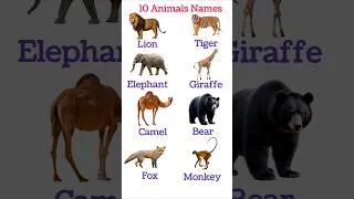 Thumbnail: 10 Wild Animals Names for Kids | Learn Animal Names in English | Kids Learning Shorts