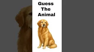 Thumbnail: Guess the animal | Fun Quiz #shorts #explore #viraltrends