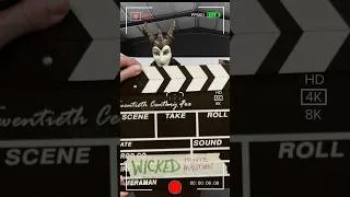 Thumbnail: Witcheficent’s WICKED MOVIE Audition #wicked #wickedmusical #wicked #kidtimestorytime #kidshorts