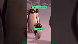 Thumbnail: 🐧 A Winner Finds A Way 🥇 #surfsup #kidzuko