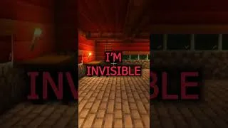 Thumbnail: Invisible? #minecraft #invisible #meme