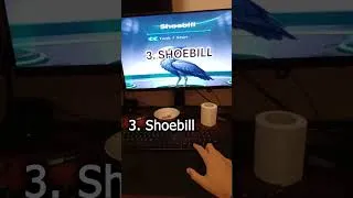 Thumbnail: TOP 3 BIRDS IN BIRD GAME 3 #birdgame #birds
