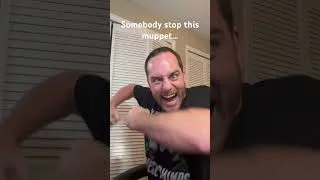 Thumbnail: What a muppet…