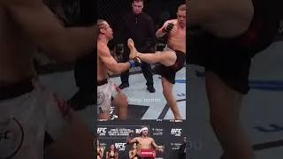 Thumbnail: Petr Yan Knocks Out Urijah Faber With Massive Head Kick KO at UFC 245 #shorts