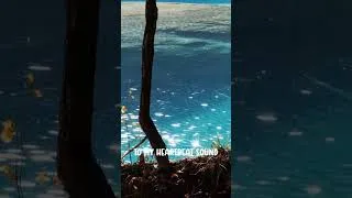 Thumbnail: When I met you in the summer