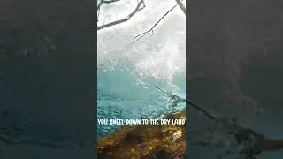 Thumbnail: It's the same way you showed me