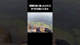 Thumbnail: 【穴釣り】誰も見向きもしない「足元の隙間」が、実はカサゴの巣だった。