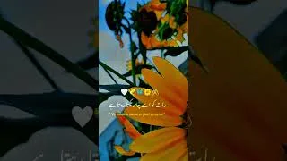 Thumbnail: Suna ha bole to baton sa phool jharte🥀🌹🌹🥀🌺