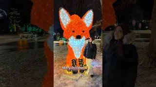 Thumbnail: Merry christmas🥹🎄❤️ #christmas #merrychristmas #christmastree #christmasmusic