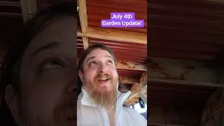 Thumbnail: July 4th Garden Update #HomeFarm