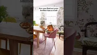 Thumbnail: CAT MEMES 🐱 you find out your brother has a crush #catmemes #catvideos #shorts