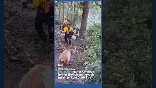 Thumbnail: Goat escort guides Colorado Springs firefighters through terrain to ‘Rock Creek Fire’ #goat #fire