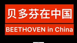 Thumbnail: What does Beethoven mean to the people?