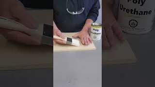 Thumbnail: Best Brush for Polyurethane!
