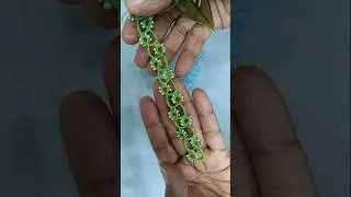 Thumbnail: Beautiful bracelet beads tatting pattern #tatting #shortsfeed