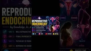Thumbnail: REPRODUCTIVE ENDOCRINOLOGY (good news for students) 🥳🥳 🫶