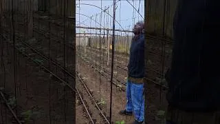 Thumbnail: He LOST His Job, Then built A GREENHOUSE