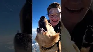 Thumbnail: First Time Skydiving with a Dog