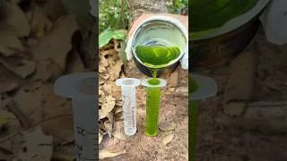 Thumbnail: bushcraft Skills: The showsand Useful save SOAP & Water #camping #bushcraft #Outdoors #survival