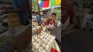 Thumbnail: Hardworking Woman Making Omelette of India
