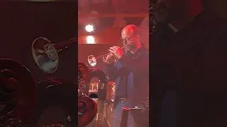 Thumbnail: Born On The 4th Of July #music #orchestra #live