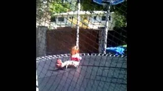 Thumbnail: Frankie bouncing on trampoline at the Abe's