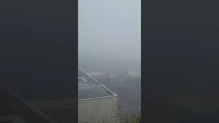 Thumbnail: No filming today Dense Fog March 9th