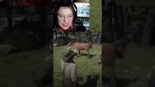 Thumbnail: RDR2 Chaos Mod Spares No One
