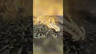 Thumbnail: Skyrim is Unplayable After This