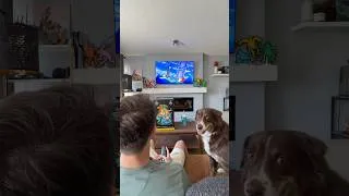 Thumbnail: Weekend vibes, Pokemon, Lego and Dogs!