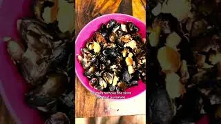 Thumbnail: Food of the Gods