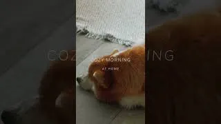 Thumbnail: cozy morning at home vlog