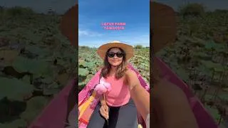 Thumbnail: MOST Beautiful Lotus Farm in Cambodia 😍🪷