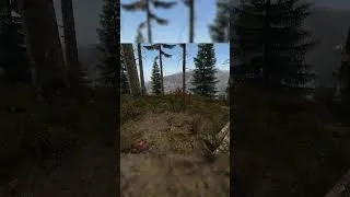 Thumbnail: Кемпер стал добычей - DayZ